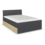 Rauch Stauraumbett Joel 140 x 200 cm Eiche grau