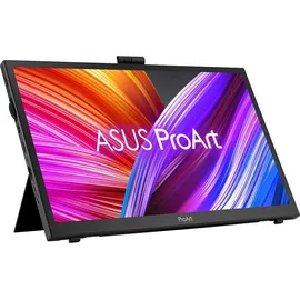 Asus ProArt PA169CDV 15,6" schwarz