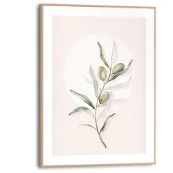 Bild CIRCLE OLIVES - bunt