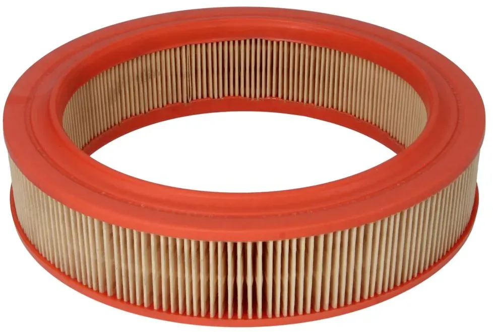 Filtro aria FILTRON AR224