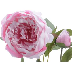 Pfingstrose mit 2 Blüten und Knospe am Stiel Kunstblume Päonie H: 75cm rosa