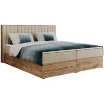 MKS Albero-4 120 x 200 cm H3 Beige Velvet