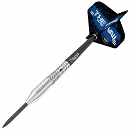 BULL'S Martin Schindler TW80 Steeldarts 21 g