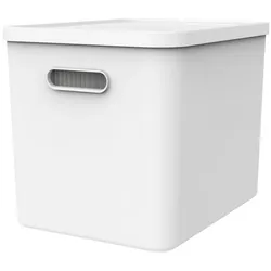 Archivbox MY PAPER