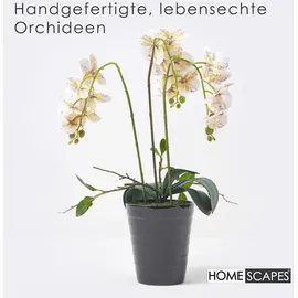 Homescapes Kunstblume, Orchidee weiß-pink im Deko-Topf, 56 cm,