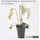 Homescapes Kunstblume, Orchidee weiß-pink im Deko-Topf, 56 cm,