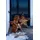 Hofmann Living And More Kaminholzlager Stern 86 x 21 x 86 rostbraun