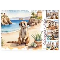 Calvendo Erdmännchen in Italien (Wandkalender 2026 DIN A4 quer),