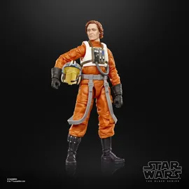 Hasbro Star Wars The Black Series Colonel Ward, The Mandalorian & Grogu Action-Figur 15 cm