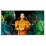 Samsung QB65C 65" schwarz
