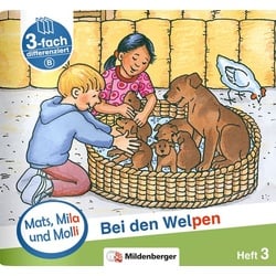 Mats, Mila und Molli – Heft 3: Bei den Welpen - Schwierigkeitsstufe B