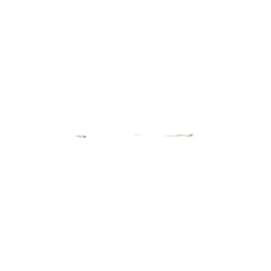 Tissot - Leder Fine Lady Weiss Schnur Ohne Schnalle, Ohne SchnÄllchen Fine T610020998 - genarbt,rind,weiß
