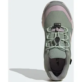 Adidas Terrex GTX Silver Green / Putty Mauve / Preloved Fig 32