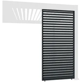 Weide Horizontale Lamellenwand für Weide Pergola 1 Stück 1,13 x 2,34 m Anthrazit