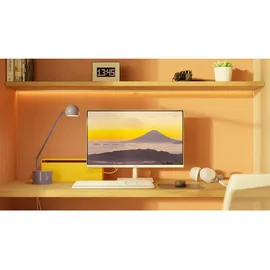 JAPANNEXT Monitor 28"