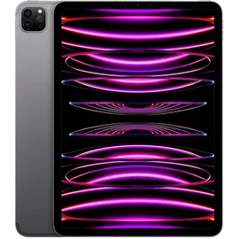Apple iPad Pro 11" (4. Generation 2022) 256 GB Wi-Fi + Cellular space grau