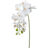 Creativ green Kunstorchidee CREATIV GREEN "Orchidee Phalaenopsis", gelb, H:77cm, Kunstpflanzen, mit real-touch-Blüten