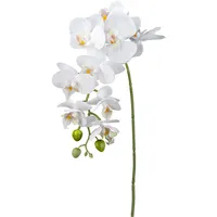 Creativ green Kunstorchidee CREATIV GREEN "Orchidee Phalaenopsis", gelb, H:77cm, Kunstpflanzen, mit real-touch-Blüten