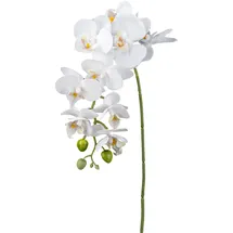 Creativ green Kunstorchidee CREATIV GREEN "Orchidee Phalaenopsis", gelb, H:77cm, Kunstpflanzen, mit real-touch-Blüten