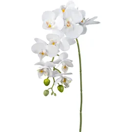 Creativ green Kunstorchidee CREATIV GREEN "Orchidee Phalaenopsis", gelb, H:77cm, Kunstpflanzen, mit real-touch-Blüten