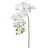 Creativ green Kunstorchidee CREATIV GREEN "Orchidee Phalaenopsis", gelb, H:77cm, Kunstpflanzen, mit real-touch-Blüten