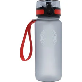 FC Bayern München Trinkflasche 0,65 l grau Unisex Gr. L