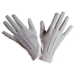 Elegante Handschuhe für Erwachsene in Grau - OS