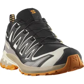 Salomon XA Pro 3D V9 GTX Herren Black/Vanilla Ice/Turmeric 48