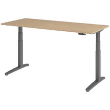 bümö Schreibtisch elektrisch Eiche Nachbildung / Graphit