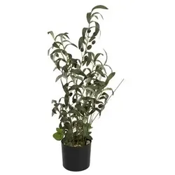 EUROPALMS Olivenbäumchen, Kunstpflanze, 68 cm