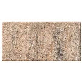 Diephaus Terrassenplatte Corso Muschelkalk 40 x 20 x 4 cm