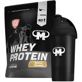 1kg Mammut Whey Protein Eiweißshake - Set inkl. Protein Shaker, Riegel, Powderbank oder Tasse (Salted Peanut, Gratis Mammut Shaker)