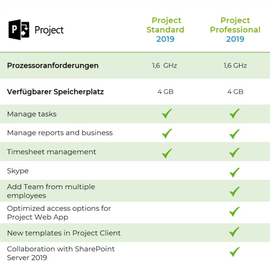 Microsoft Project 2019 Professional ESD