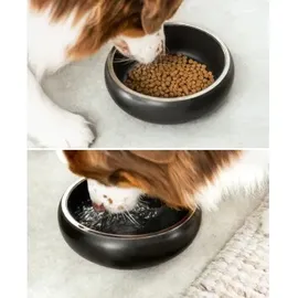 LIONTO Napf BlackLine