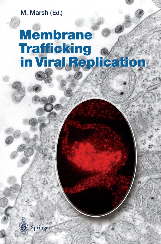Membrane Trafficking In Viral Replication  Kartoniert (TB)