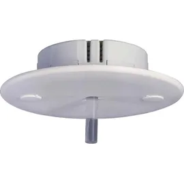 ABB Stotz S&J Lichtfühler LF/U2.1