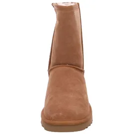 OOG Stiefel Braun | Gr.: 37