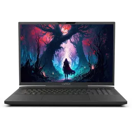 Captiva Highend Gaming I81-514 17,3" Core i9-14900HX 64 GB RAM 2 TB SSD RTX 4080