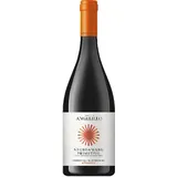 Negroamaro Primitivo Appassite Jg. 2024 uItalien Apulien Famiglia Angelillou