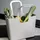 Koziol Einkaufstasche XL beige 54 x 43 x 22 cm