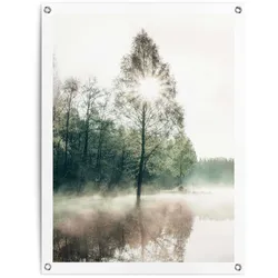 Poster REINDERS "Sonne durch die Bäume", grün (farbe bild(er): grün), B:60cm H:80cm T:0,1cm, Leinwand, Bilder, Outdoor für Garten oder Balkon