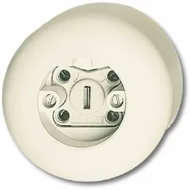 Busch-Jaeger Schuko-Steckdose Unterputz IP20 Weiß