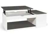 IDMarket - Couchtisch, aufklappbar, rechteckig, mit Truhe, Holz, Weiß und Grau