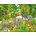 Papermoon Fototapete Kids Jungle Animals bunt Fototapeten Tapeten Bauen Renovieren