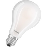 Osram LED-Lampe Standard 24W/840 (200W) Frosted E27