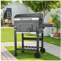 LIFERUN Holzkohlegrill XL grau