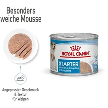 Royal Canin Starter Mother & Babydog Ultra Soft Mousse - Sparpaket: x 195 g