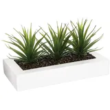 Atmosphera - Tafelaufsatz 3 künstliche Aloe Vera H17cm - Weiß