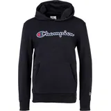 Champion Unisex Sweatshirt