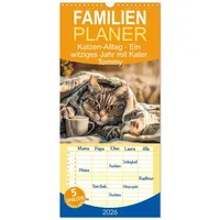 Calvendo Familienplaner 2026 - Katzen-Alltag - Ein witziges Jahr
